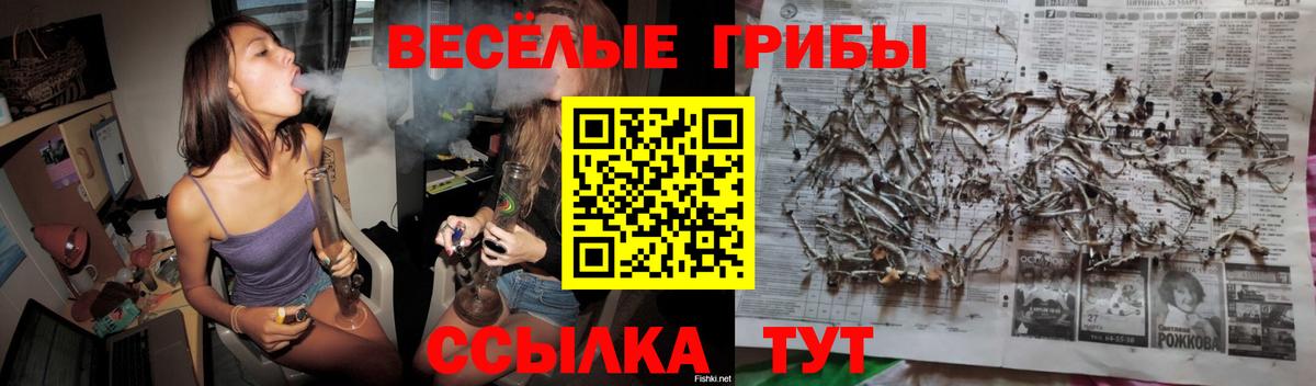 Галлюциногенные грибы MAGIC MUSHROOMS  Вход с VPN  Тверь 
