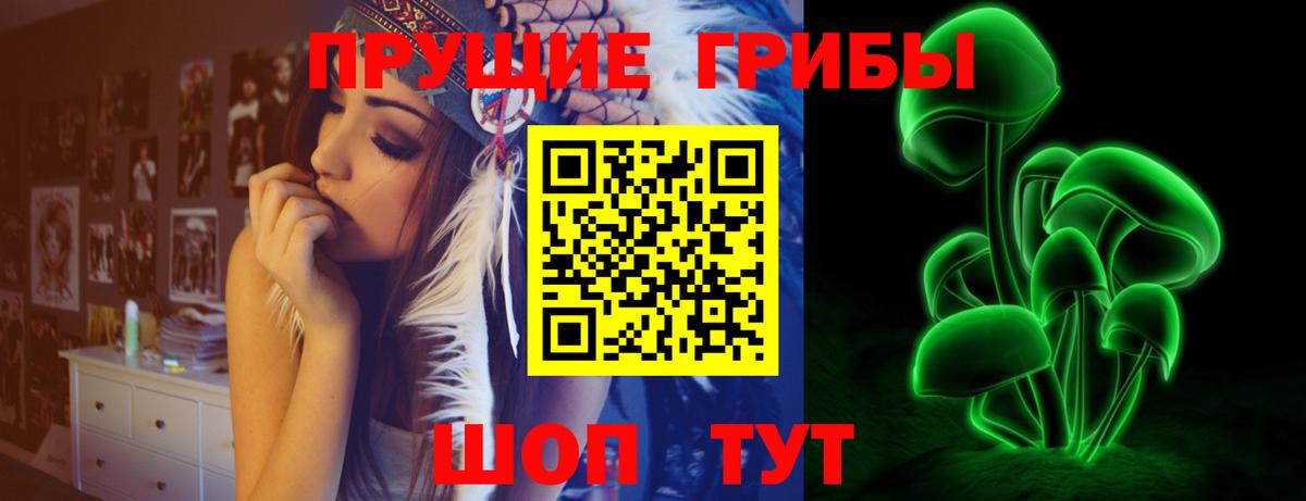 Галлюциногенные грибы мицелий Тверь
